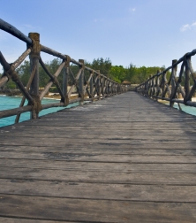 businesses_landing_page_top_left_wooden_bridge_lower_resolution_shutterstock_27049912